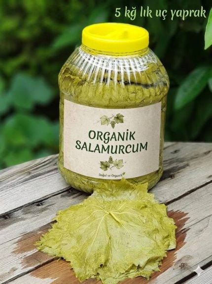 Anasayfa 4 Anasayfa - Organik Salamurcum
