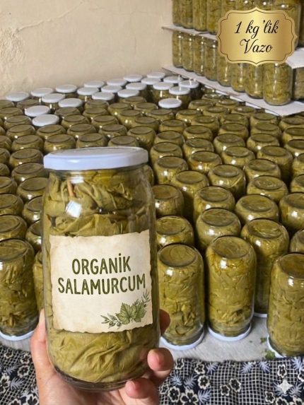 Anasayfa 6 Anasayfa - Organik Salamurcum